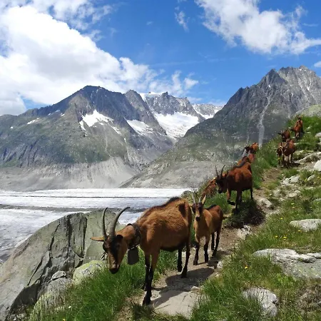 Aragon M86 By Interhome *