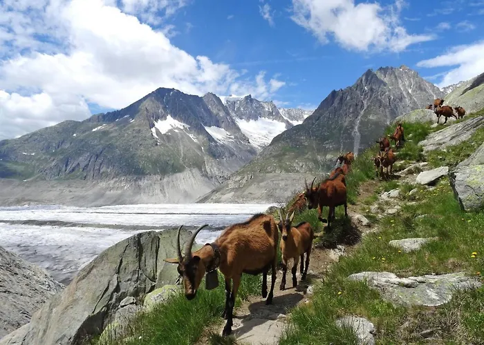 Aragon M86 By Interhome *